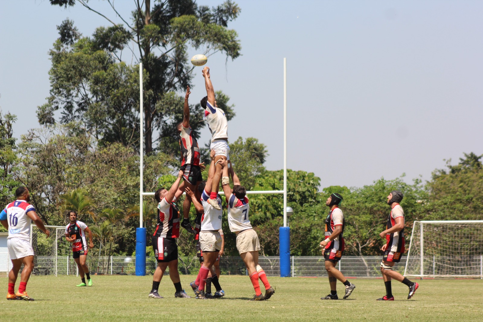 Super 12 de Rugby chega à 3ª rodada da fase final com jogos decisivos